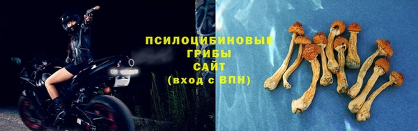 мескалин Майский