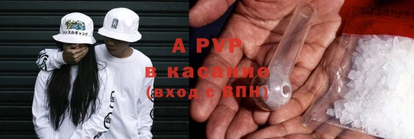 трава Магас