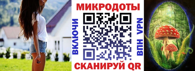 Псилоцибиновые грибы Psilocybine cubensis  Ялуторовск 
